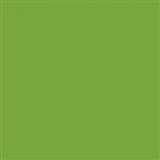 Mason Stain #6211 Pea Green Quarter Pound